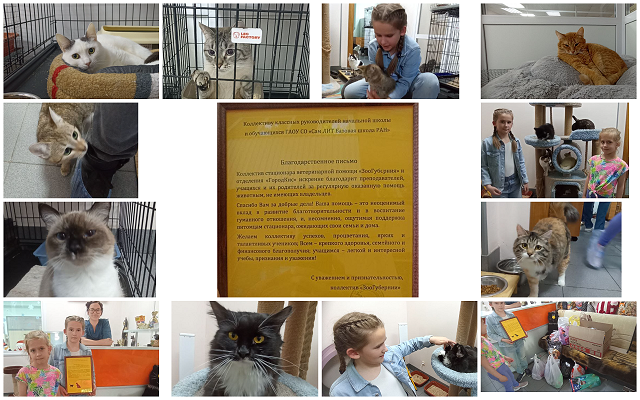 MyCollages 1