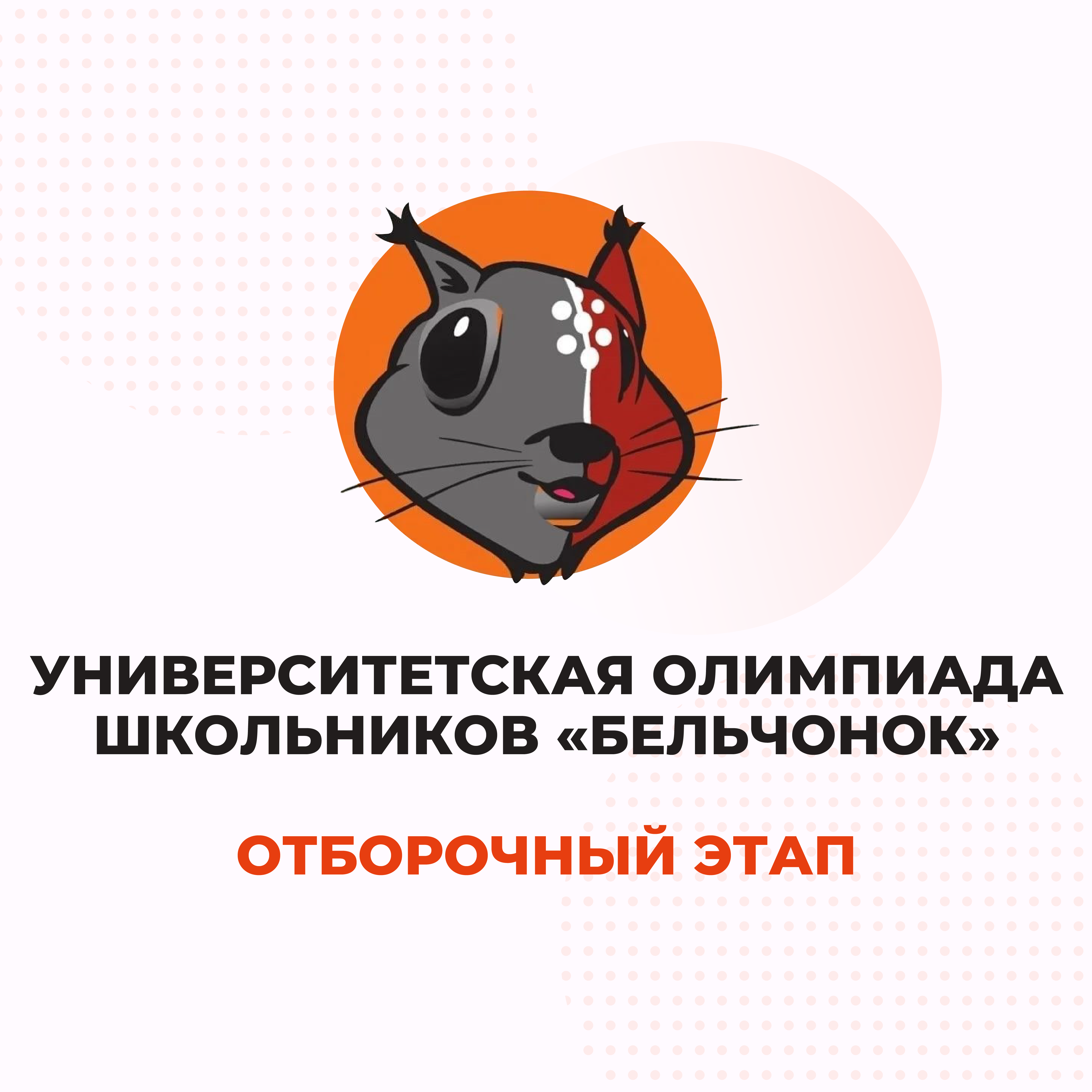 Бельчонок 1000х1000